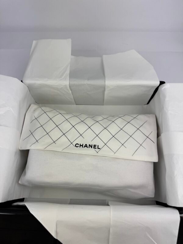 IMG_0934 Chanel Classic Double Flap Lambskin – Medium